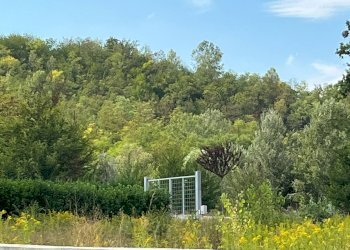 Foto 8 - Agricultural land Via Casale
 
52, Castell'Alfero - photo 8