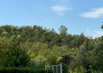 Foto 9 - Agricultural land Via Casale
 
52, Castell'Alfero - photo 9