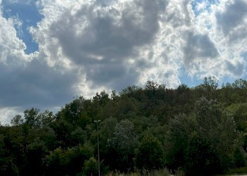 Foto 10 - Agricultural land Via Casale
 
52, Castell'Alfero - photo 10