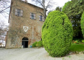 Foto 2 - Castello piazza Umberto I
 
4, Montiglio Monferrato - foto 2