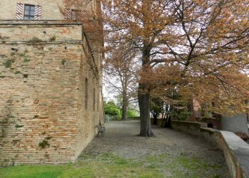 Foto 3 - Castello piazza Umberto I
 
4, Montiglio Monferrato - foto 3