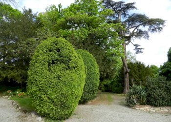 Foto 8 - Castello piazza Umberto I
 
4, Montiglio Monferrato - foto 8