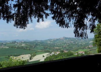 Foto 86 - Castello piazza Umberto I
 
4, Montiglio Monferrato - foto 86