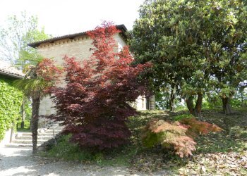 Foto 91 - Castello piazza Umberto I
 
4, Montiglio Monferrato - foto 91