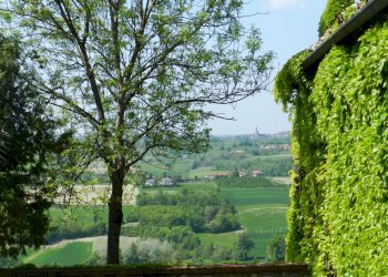 Foto 103 - Castello piazza Umberto I
 
4, Montiglio Monferrato - foto 103