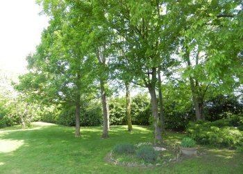 Foto 108 - Castello piazza Umberto I
 
4, Montiglio Monferrato - foto 108