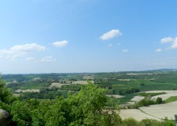 Foto 124 - Castello piazza Umberto I
 
4, Montiglio Monferrato - foto 124