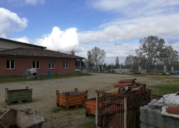 Foto 12 - Capannone via serracastello
 
3/C, Grana Monferrato - foto 12