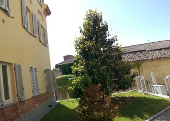 Foto 4 - Trilocale via testa
 
99, Asti - foto 4