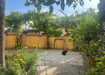 Foto 9 - Rustic via Maestra
 
43, Pino d'Asti - photo 9