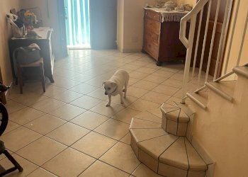 Foto 13 - Rustic via Maestra
 
43, Pino d'Asti - photo 13