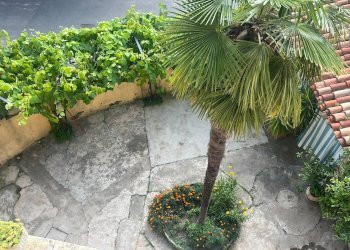 Foto 46 - Rustic via Maestra
 
43, Pino d'Asti - photo 46