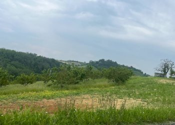 Foto 50 - Rustic via Maestra
 
43, Pino d'Asti - photo 50