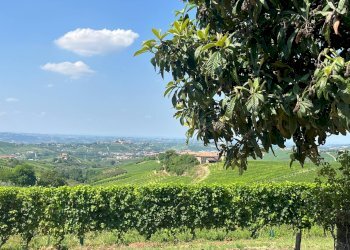 Foto 43 - Rustic via Castellero
 
36/ter, Neviglie - photo 43