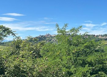 Foto 20 - Independent house Vicolo Berra
 
7, Pino d'Asti - photo 20