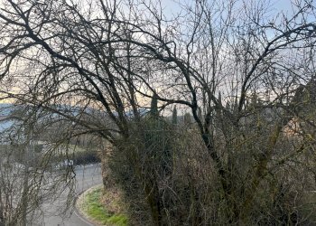 Foto 17 - Casa indipendente via Odalengo Grande
 
2, Odalengo Grande - foto 17