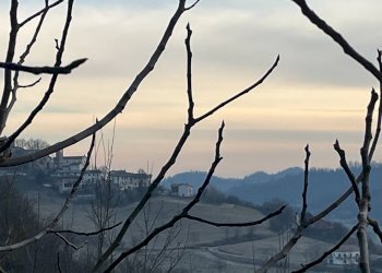 Foto 37 - Casa indipendente via Odalengo Grande
 
2, Odalengo Grande - foto 37