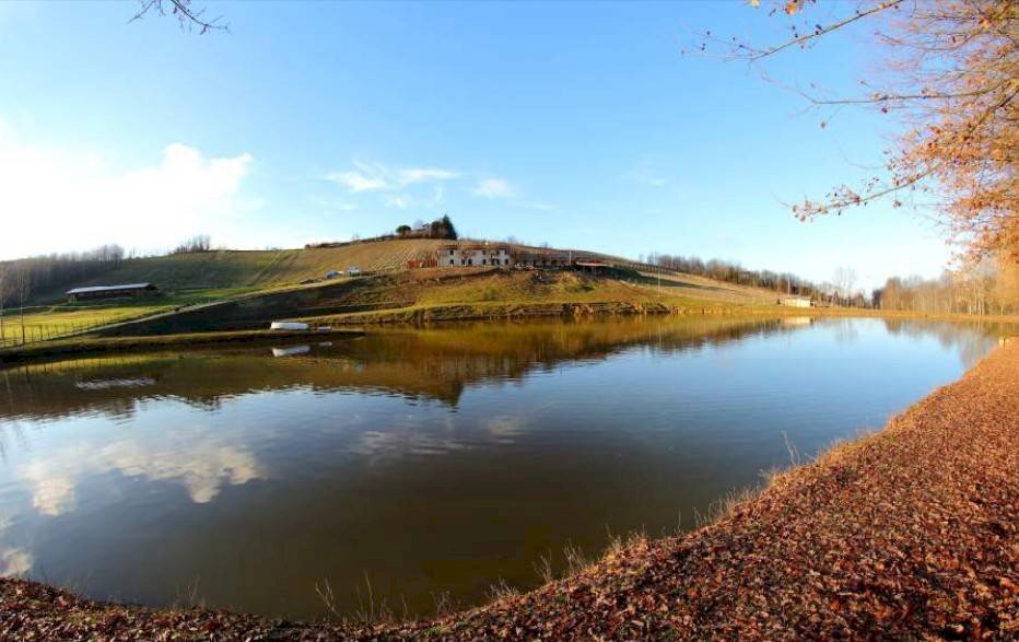 Foto 3 - Farm località Mardelloro, Carpeneto - photo 3