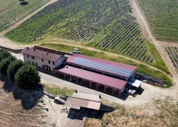 Foto 1 - Azienda agricola località Mardelloro, Carpeneto - foto 1