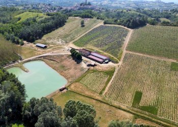 Foto 2 - Azienda agricola località Mardelloro, Carpeneto - foto 2