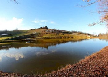 Foto 3 - Azienda agricola località Mardelloro, Carpeneto - foto 3