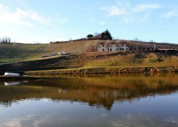 Foto 4 - Azienda agricola località Mardelloro, Carpeneto - foto 4