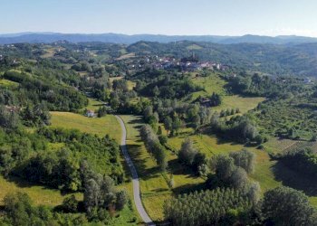 Foto 6 - Azienda agricola località Mardelloro, Carpeneto - foto 6