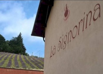 Foto 9 - Azienda agricola località Mardelloro, Carpeneto - foto 9