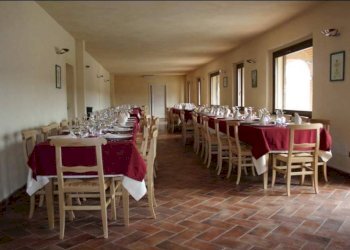 Foto 10 - Azienda agricola località Mardelloro, Carpeneto - foto 10