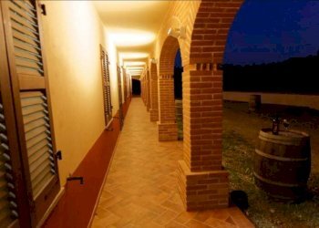 Foto 12 - Azienda agricola località Mardelloro, Carpeneto - foto 12