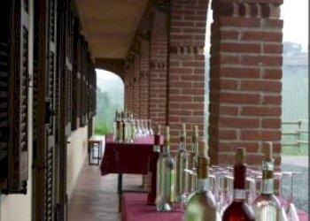 Foto 13 - Azienda agricola località Mardelloro, Carpeneto - foto 13