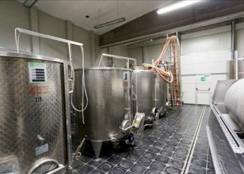 Foto 14 - Azienda agricola località Mardelloro, Carpeneto - foto 14