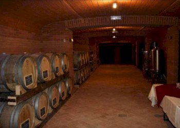 Foto 16 - Azienda agricola località Mardelloro, Carpeneto - foto 16