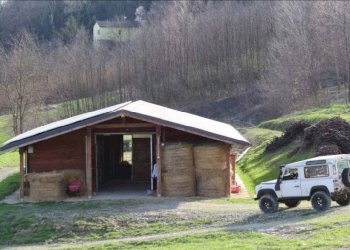 Foto 17 - Azienda agricola località Mardelloro, Carpeneto - foto 17