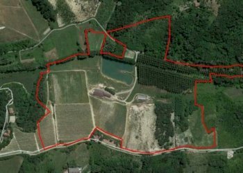 Foto 26 - Azienda agricola località Mardelloro, Carpeneto - foto 26