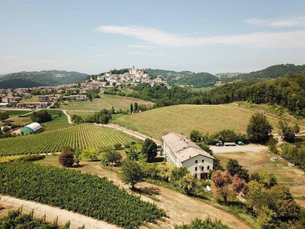 Foto 2 - Azienda agricola strada Zucca
 
snc, Murisengo - foto 2