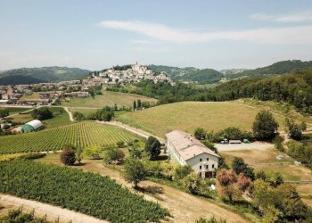 Foto 2 - Azienda agricola strada Zucca
 
snc, Murisengo - foto 2