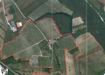 Foto 10 - Azienda agricola strada Zucca
 
snc, Murisengo - foto 7