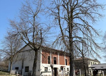 Foto 86 - Rustico via Stazione
 
18, Ponzano Monferrato - foto 86