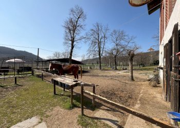 Foto 102 - Rustico via Stazione
 
18, Ponzano Monferrato - foto 102