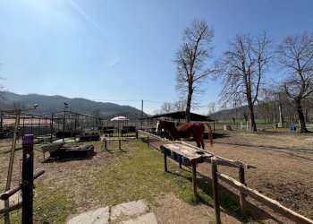 Foto 103 - Rustico via Stazione
 
18, Ponzano Monferrato - foto 103