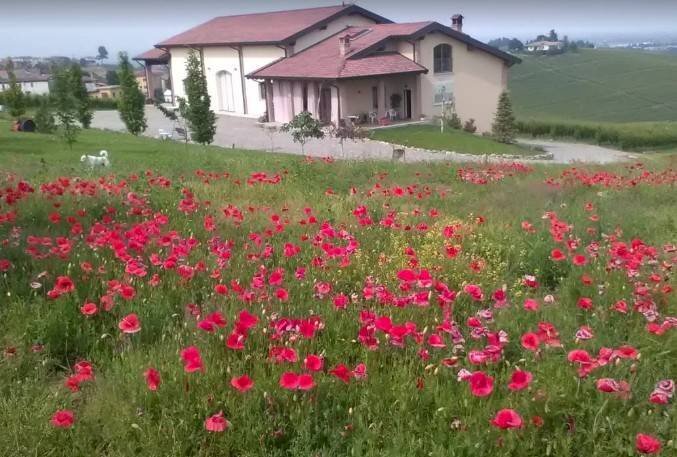 Foto 2 - Farm via per Bosnasco
14, Montù Beccaria - photo 2