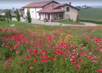 Foto 2 - Azienda agricola via per Bosnasco
 
14, Montù Beccaria - foto 2