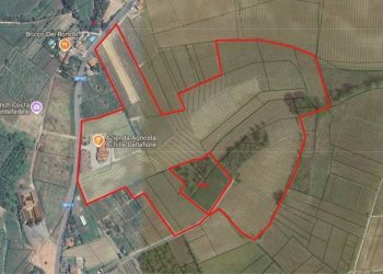 Foto 7 - Azienda agricola via per Bosnasco
 
14, Montù Beccaria - foto 7