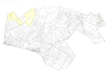 Foto 9 - Azienda agricola via per Bosnasco
 
14, Montù Beccaria - foto 9