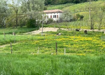 Foto 24 - Rustico via Asti Nizza
 
75, Costigliole d'Asti - foto 24