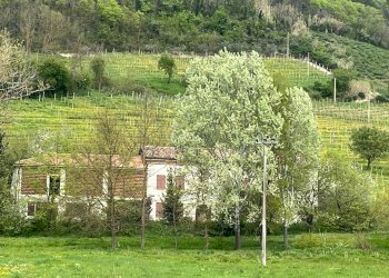 Foto 25 - Rustico via Asti Nizza
 
75, Costigliole d'Asti - foto 25