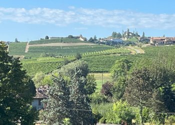 Foto 21 - Rustico via Asti Nizza
 
75, Costigliole d'Asti - foto 21