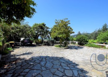 Esterno - Villa Strada Maddalena, Moncalieri - foto 4