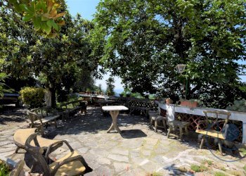 Esterno - Villa Strada Maddalena, Moncalieri - foto 5